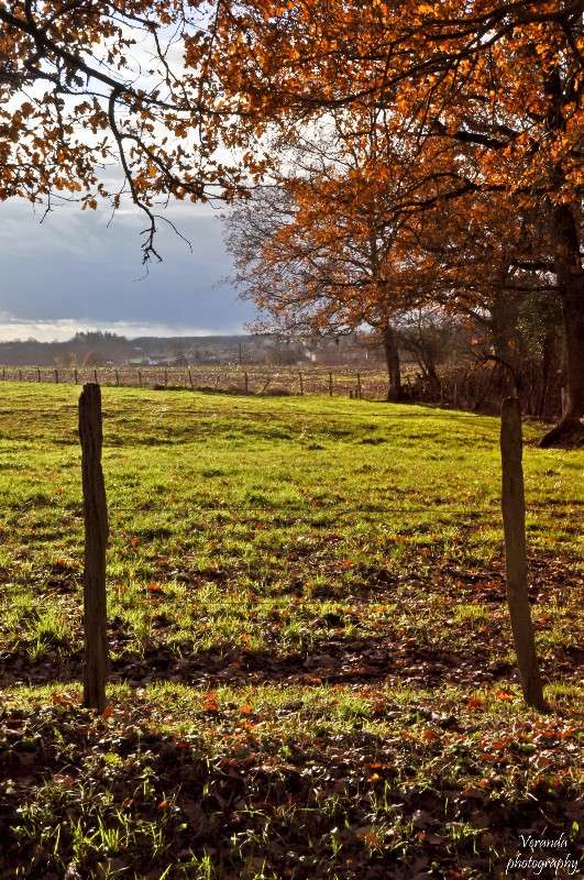 ����������� ����� ����� �������  �� PhotoGeek.ru #����� #������ ��� ������� #������ ���� #���������