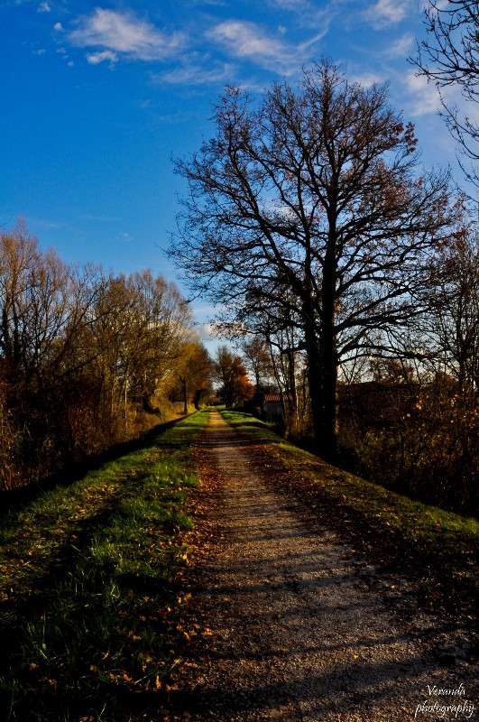 ������ ����� �������  �� PhotoGeek.ru #����� #������ ��� ������� #������ ���� #���������