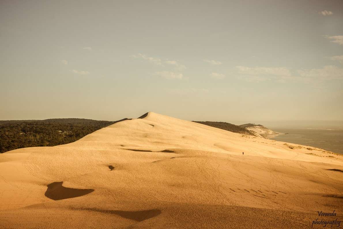 Dune     PhotoGeek.ru #   #