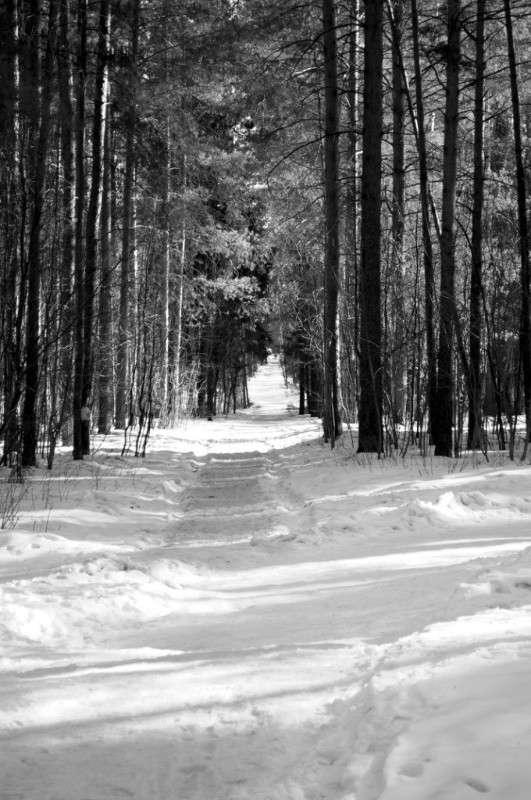 ... ����� ������ ������ �� PhotoGeek.ru #������ ��� ������� #Nikor 18-55