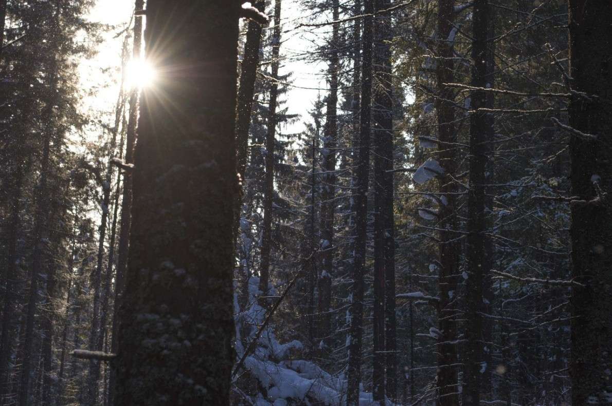 ... ����� ������ ������ �� PhotoGeek.ru #������ ��� �������