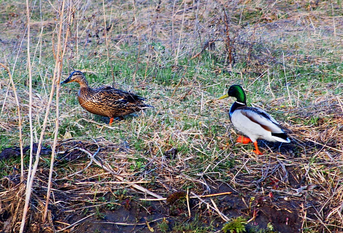 ��������� ����� ������ ������ �� PhotoGeek.ru #�������� ��� #������ ��� ������� #����� ��� ��� ���������