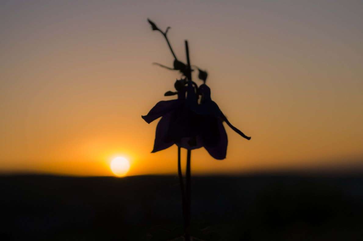 ... ����� ������ ������ �� PhotoGeek.ru #������ ��� ������� #����� ��������������