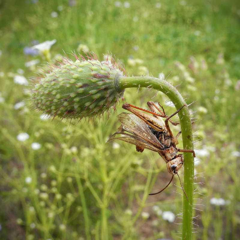 ..."�������" �� ��... ����� ������ ����� �� PhotoGeek.ru #����� #�������� ���