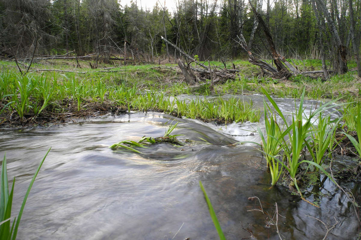 ����� ����� ������ ����� �� PhotoGeek.ru #������ ��� �������