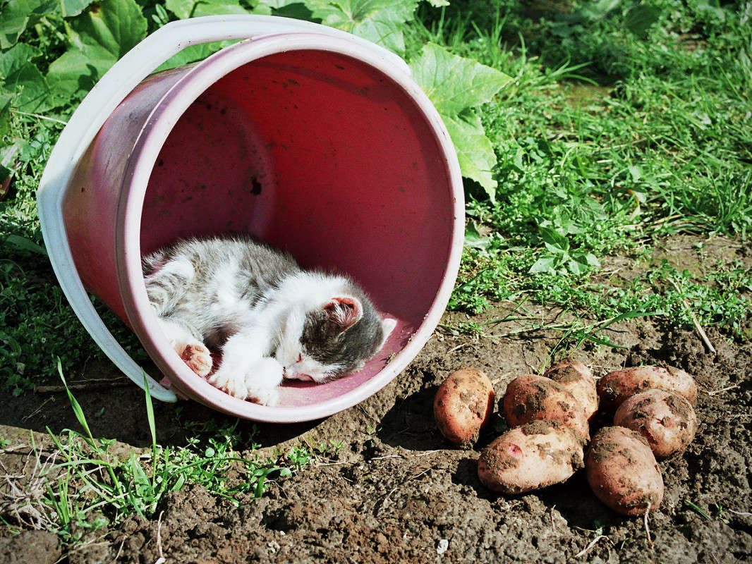 ������ ����� ������ ����� �� PhotoGeek.ru #�������� ���