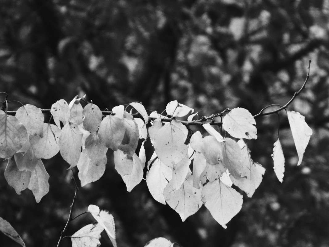 �����. ����� �������� ���������� �� PhotoGeek.ru #������ ��� �������