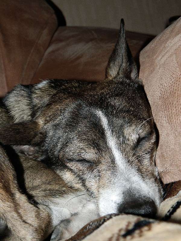 ������ . ����� �������� ���������� �� PhotoGeek.ru #�������� ���