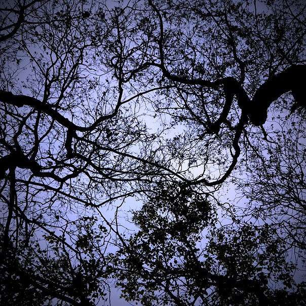 ������� . ����� �������� ���������� �� PhotoGeek.ru #������ ��� �������