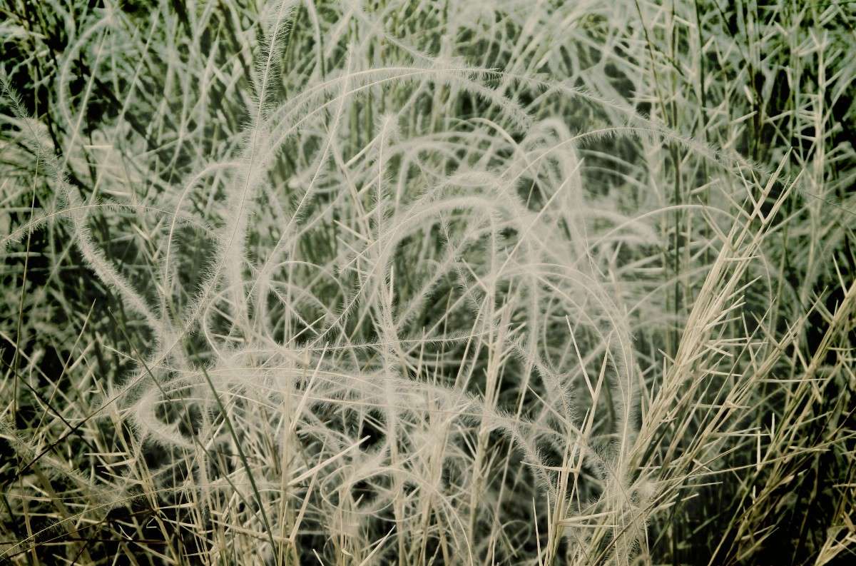 ��������� ��������. ����� �������� ���������� �� PhotoGeek.ru #������ ��� �������