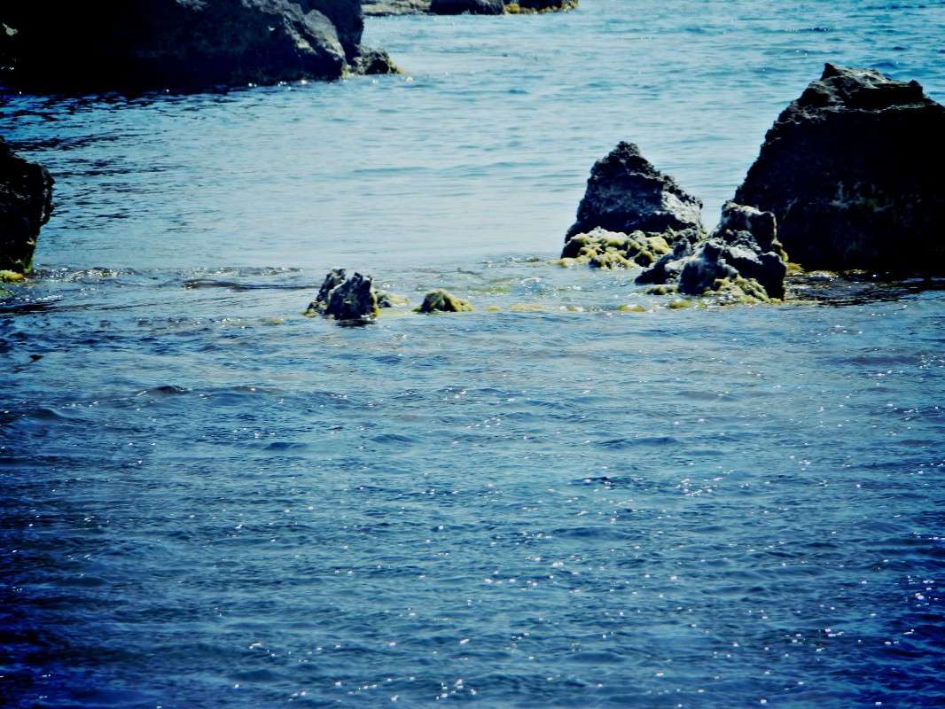 ����������. ����, ����. ����� �������� ���������� �� PhotoGeek.ru #������ ��� �������