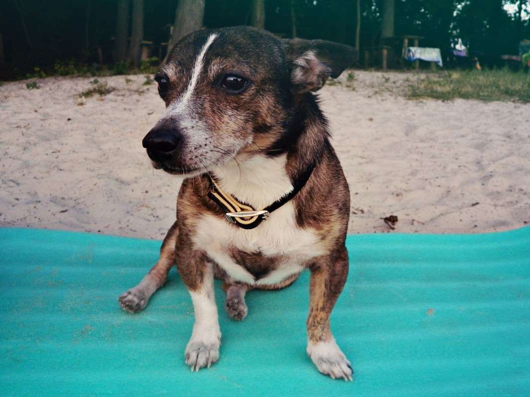 ��� ������) ����� �������� ���������� �� PhotoGeek.ru #����� #�������� ��� #������ ��� �������