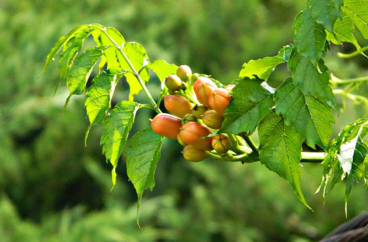 �������. ����� �������� ���������� �� PhotoGeek.ru #����� #������ ��� �������