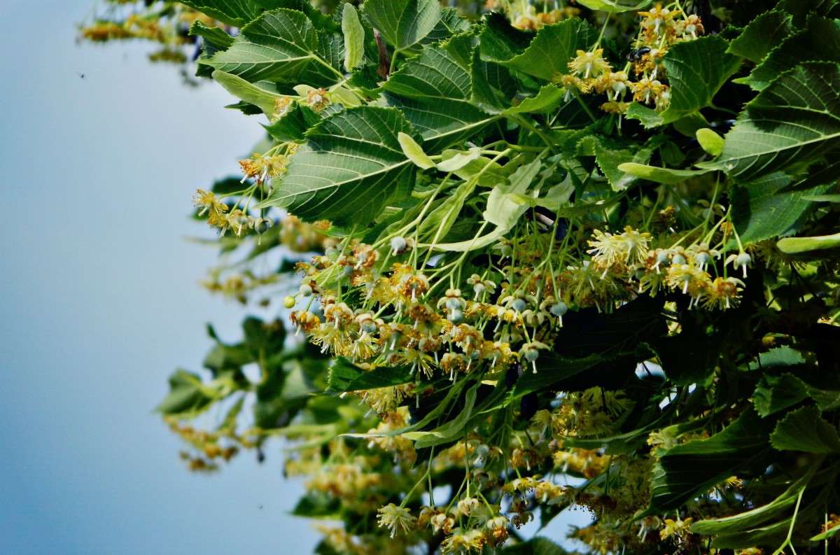 ... ����� �������� ���������� �� PhotoGeek.ru #����� #������ ��� �������