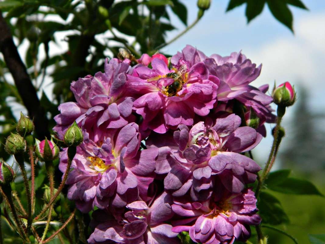 ����� . ����� �������� ���������� �� PhotoGeek.ru #����� #������ ��� �������