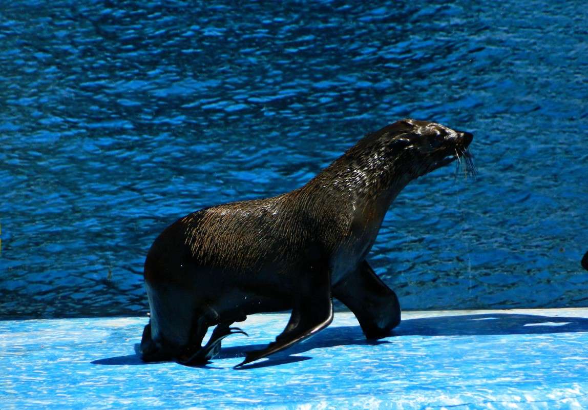 ������� �����) ����� �������� ���������� �� PhotoGeek.ru #����� #�������� ���