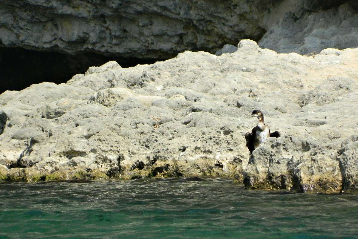 ... ����� �������� ���������� �� PhotoGeek.ru #����� #�������� ��� #������ ��� �������