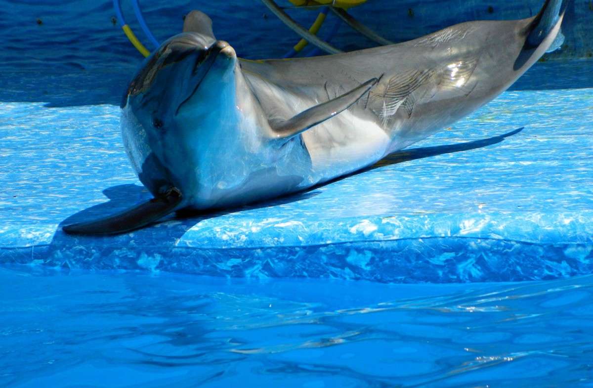 ������� ����� �������� ���������� �� PhotoGeek.ru #����� #�������� ���