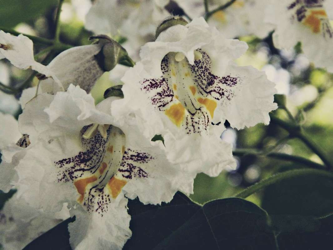 ... ����� �������� ���������� �� PhotoGeek.ru #����� #������ ��� ������� #����� ��������������