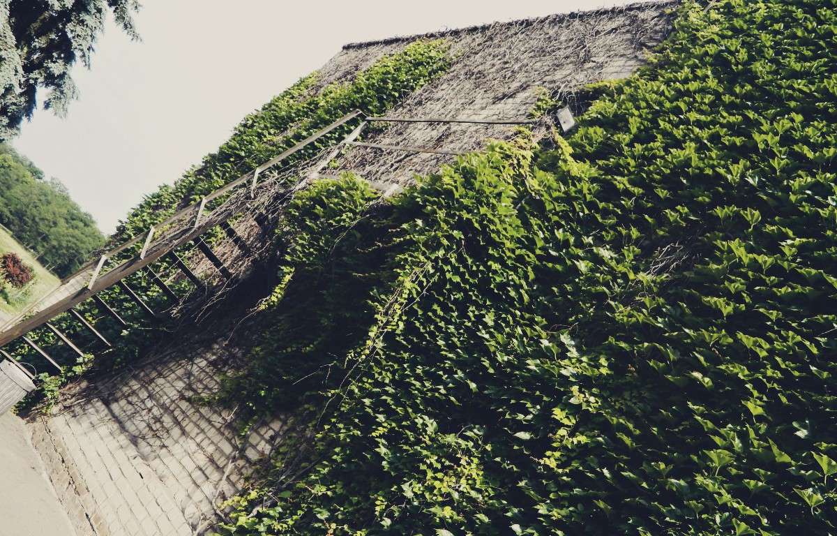 �������������� �� �����. ����� �������� ���������� �� PhotoGeek.ru #����� #������ ��� ������� #����������� #����� �������������� #��������