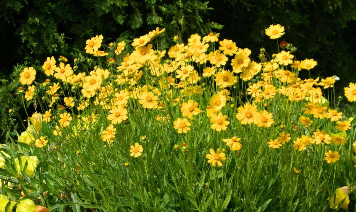 ������� ��������. ����� �������� ���������� �� PhotoGeek.ru #����� #������ ��� ������� #����� ��������������