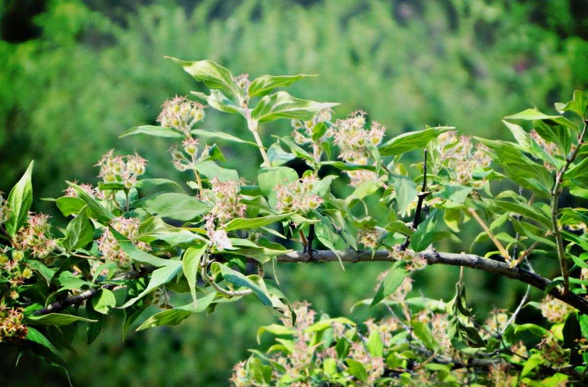 ... ����� �������� ���������� �� PhotoGeek.ru #����� #������ ��� ������� #����� ��������������