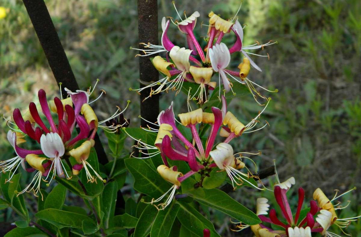 ����� . ����� �������� ���������� �� PhotoGeek.ru #����� #������ ��� ������� #����� ��������������