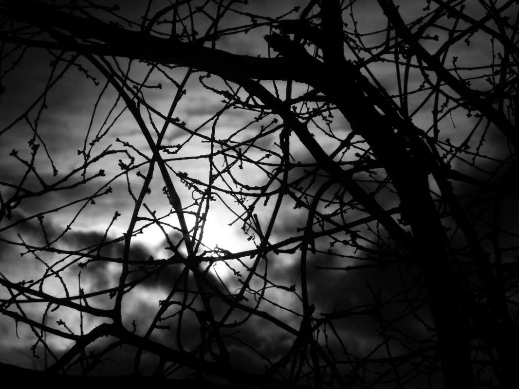 �����. ����� �������� ���������� �� PhotoGeek.ru #����� #������ ��� ������� #�����-�����