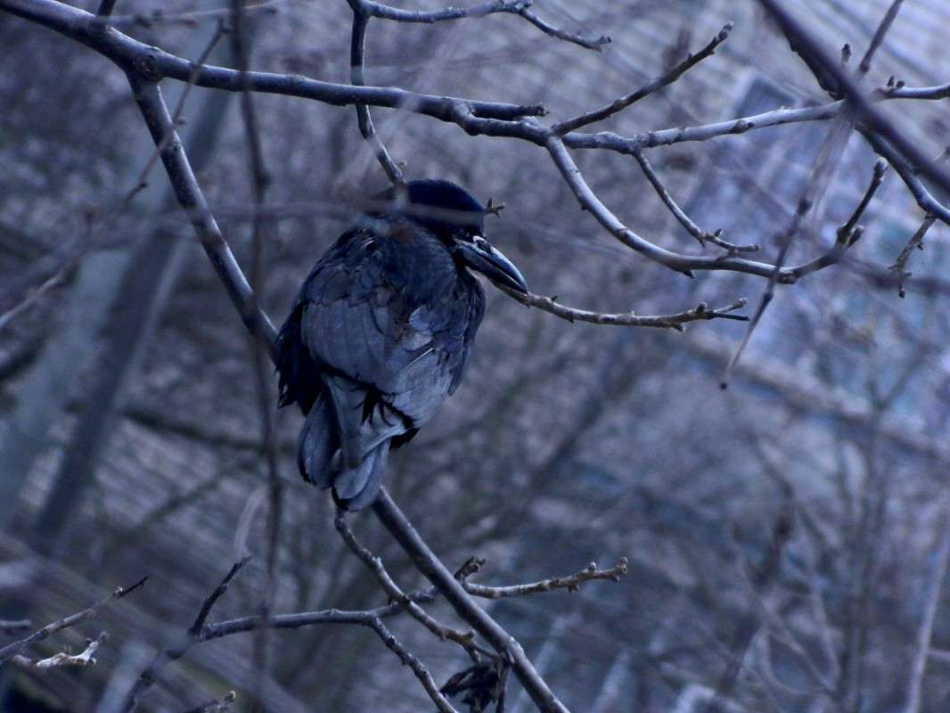 ������ ������� � ������ ���������. ����� �������� ���������� �� PhotoGeek.ru #����� #������ ��� ������� #����� ��������