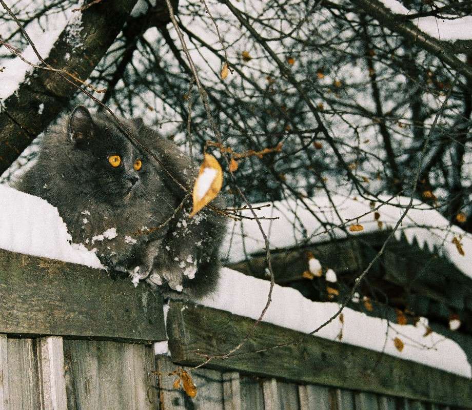 �������� ����� ������� ������� �� PhotoGeek.ru #�������� ��� #�������� ���