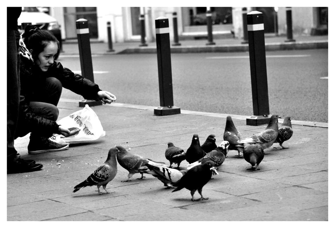 �������. ��������. ������ ����� ������� ������� �� PhotoGeek.ru #����� #�������� ���������� #�������� #�������������� ���� #�����-��� #�����-�����