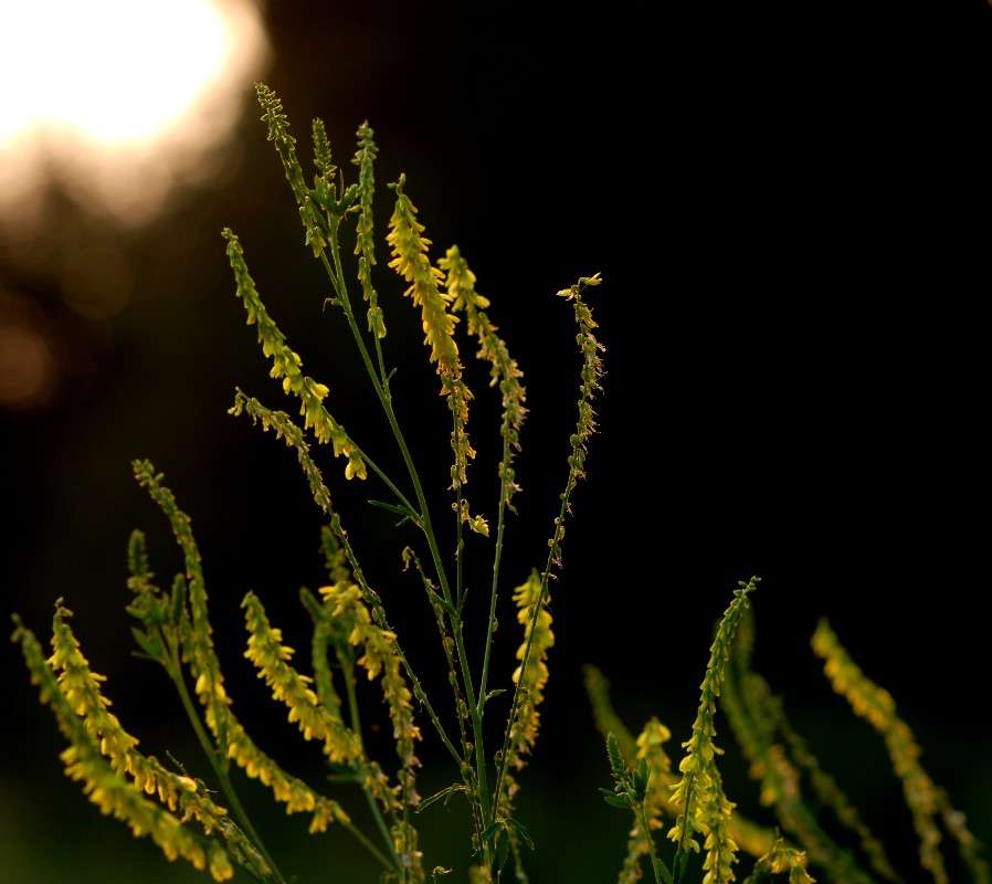 ���� �������� 2 ����� ������� ������� �� PhotoGeek.ru #�������� ��� #������ ��� ������� #����� ��������������