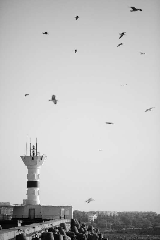 ���� ����� ���������� ��������� �� PhotoGeek.ru #����� #�������� ���������� #����������� #������ ������ #��������� ������ #��������������� #�����-�����