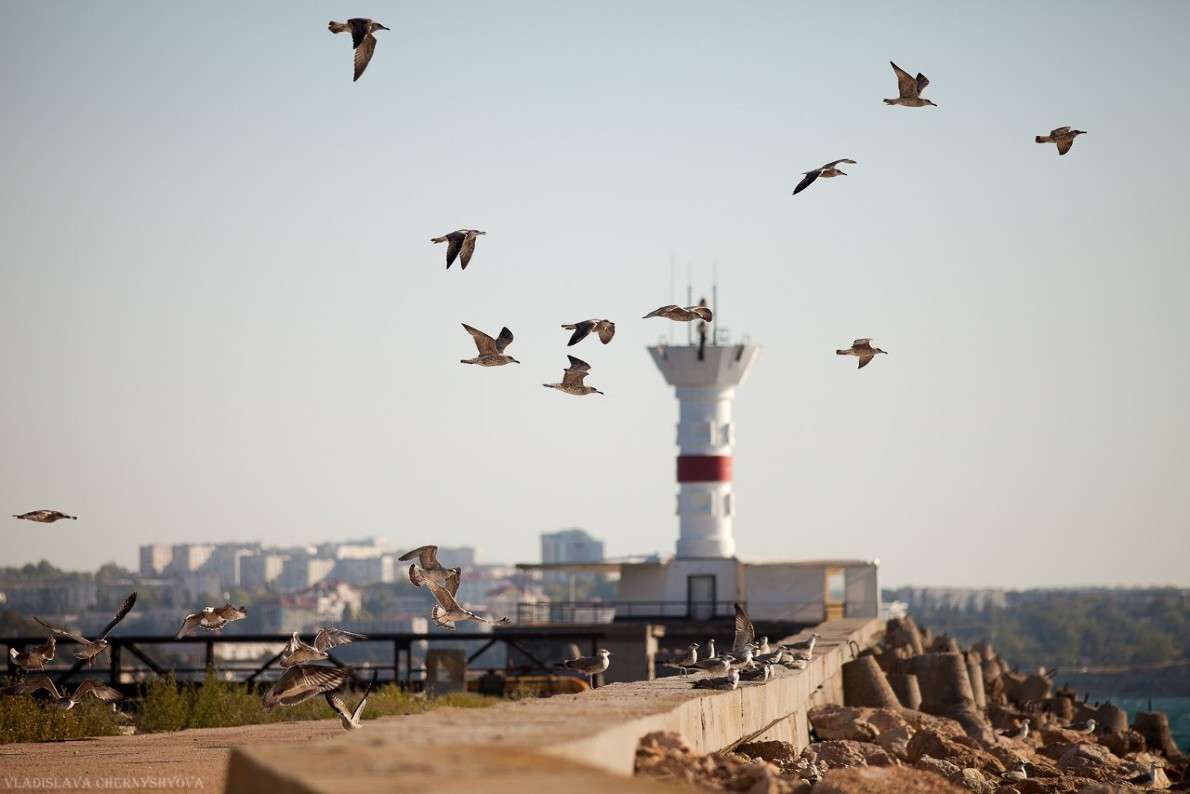 ���� ����� ���������� ��������� �� PhotoGeek.ru #����� #�������� ���������� #����������� #������ ������ #��������� ������ #���������������