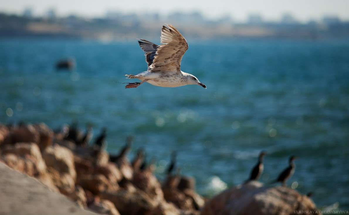 ������� ����� ���������� ��������� �� PhotoGeek.ru #�������� ��� #������ ��� ������� #�������� ���������� #��������������� #������ #����� ��������