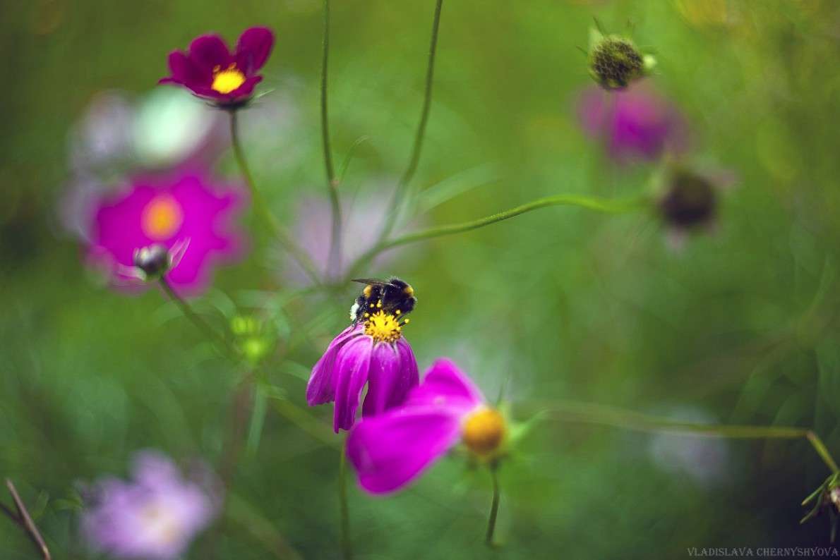 *** ����� ���������� ��������� �� PhotoGeek.ru #����� #�������� ��� #�������� ���������� #����� ��� ��� ��������� #����� �������������� #��������� #���������������