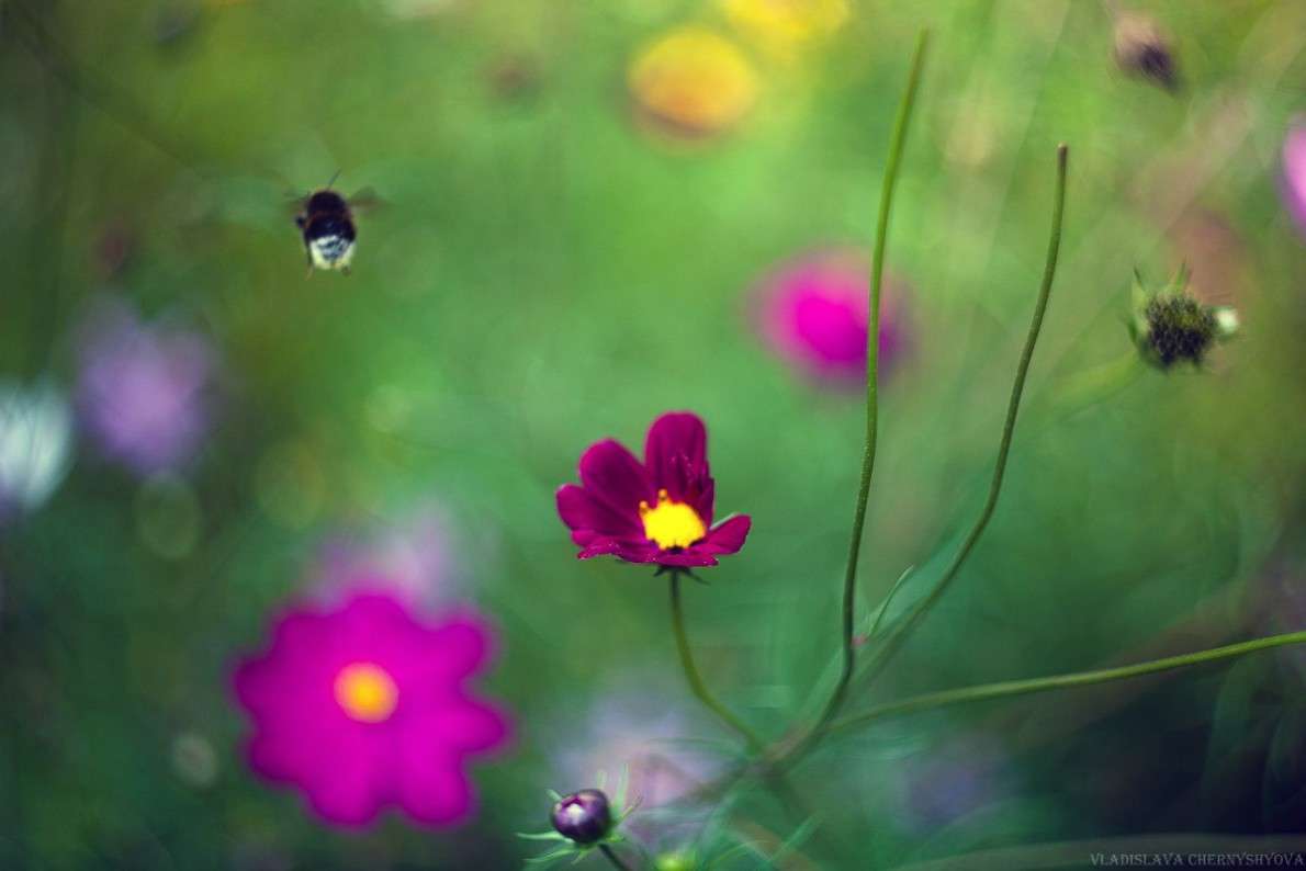 *** ����� ���������� ��������� �� PhotoGeek.ru #����� #�������� ��� #������ ��� ������� #�������� ���������� #����� ��� ��� ��������� #����� �������������� #��������� #��������������� #������ #����� ��������