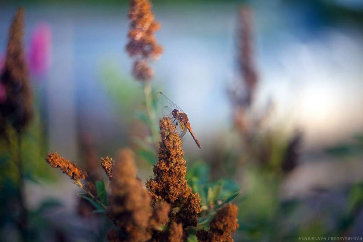 *** ����� ���������� ��������� �� PhotoGeek.ru #����� #�������� ��� #������ ��� ������� #�������� ���������� #����� ��� ��� ��������� #����� �������������� #��������� #��������������� #������ #����� ��������