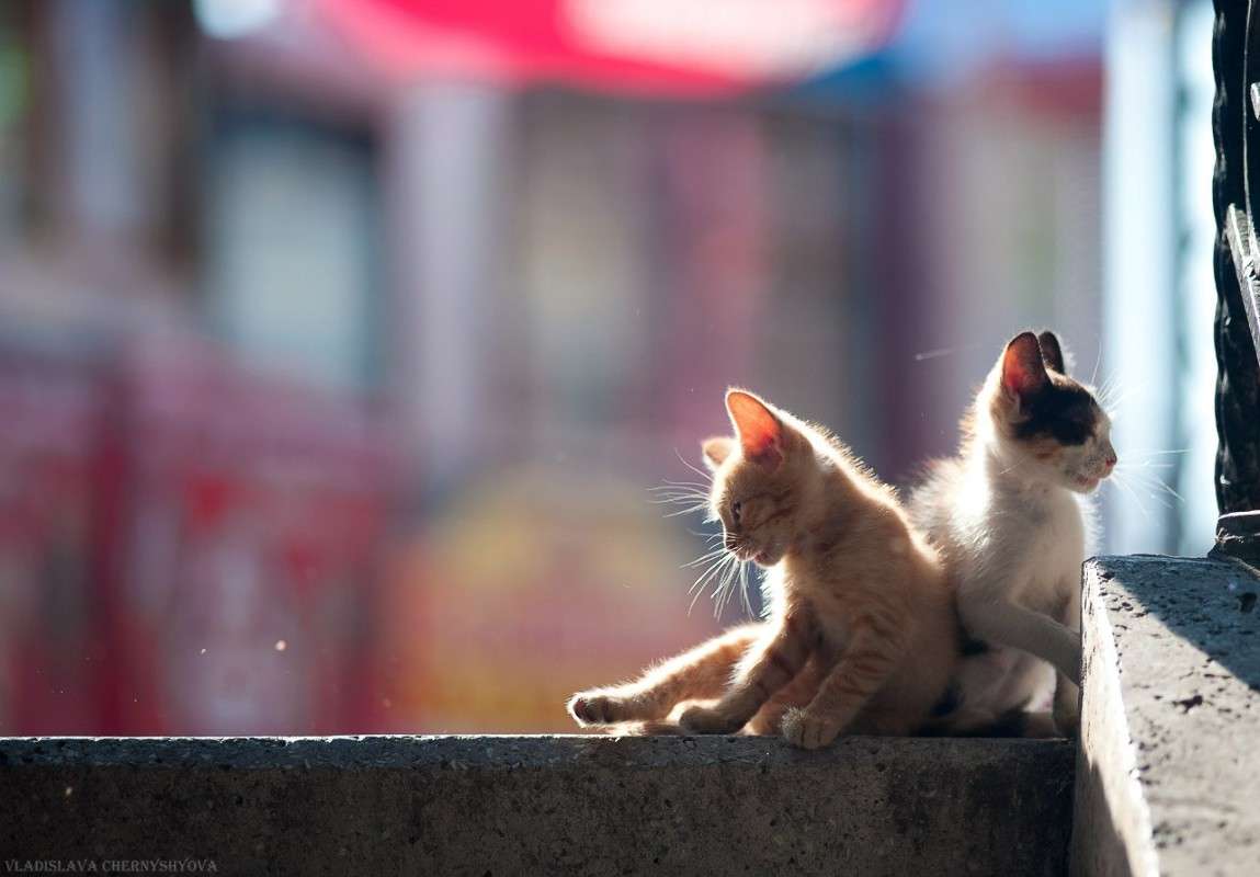 ����������� ����� ���������� ��������� �� PhotoGeek.ru #����� #�������� ��� #�������� ���������� #�������� #��������������� #�����-����