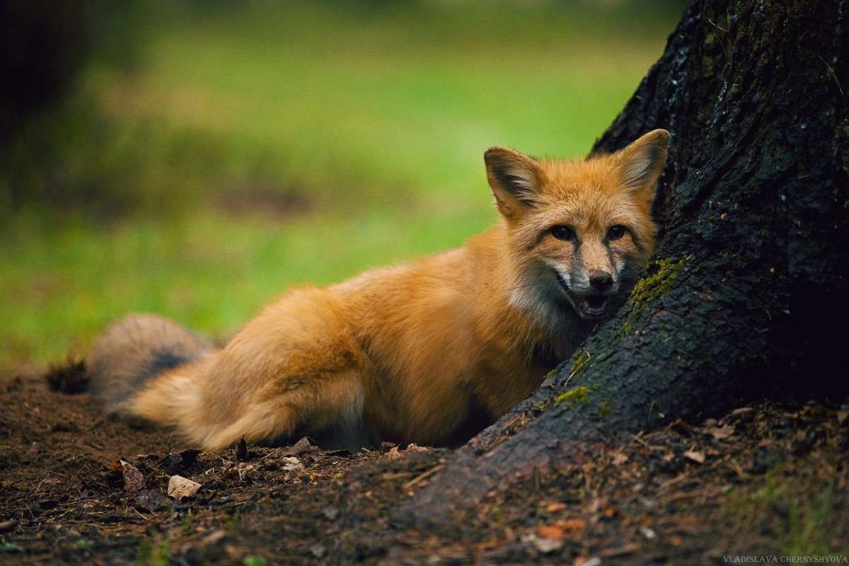 ������ ����� ���������� ��������� �� PhotoGeek.ru #�������� ��� #������ ��� ������� #�������� ���������� #����� ��� ��� ��������� #����� �������������� #��������������� #������ #����� ��������