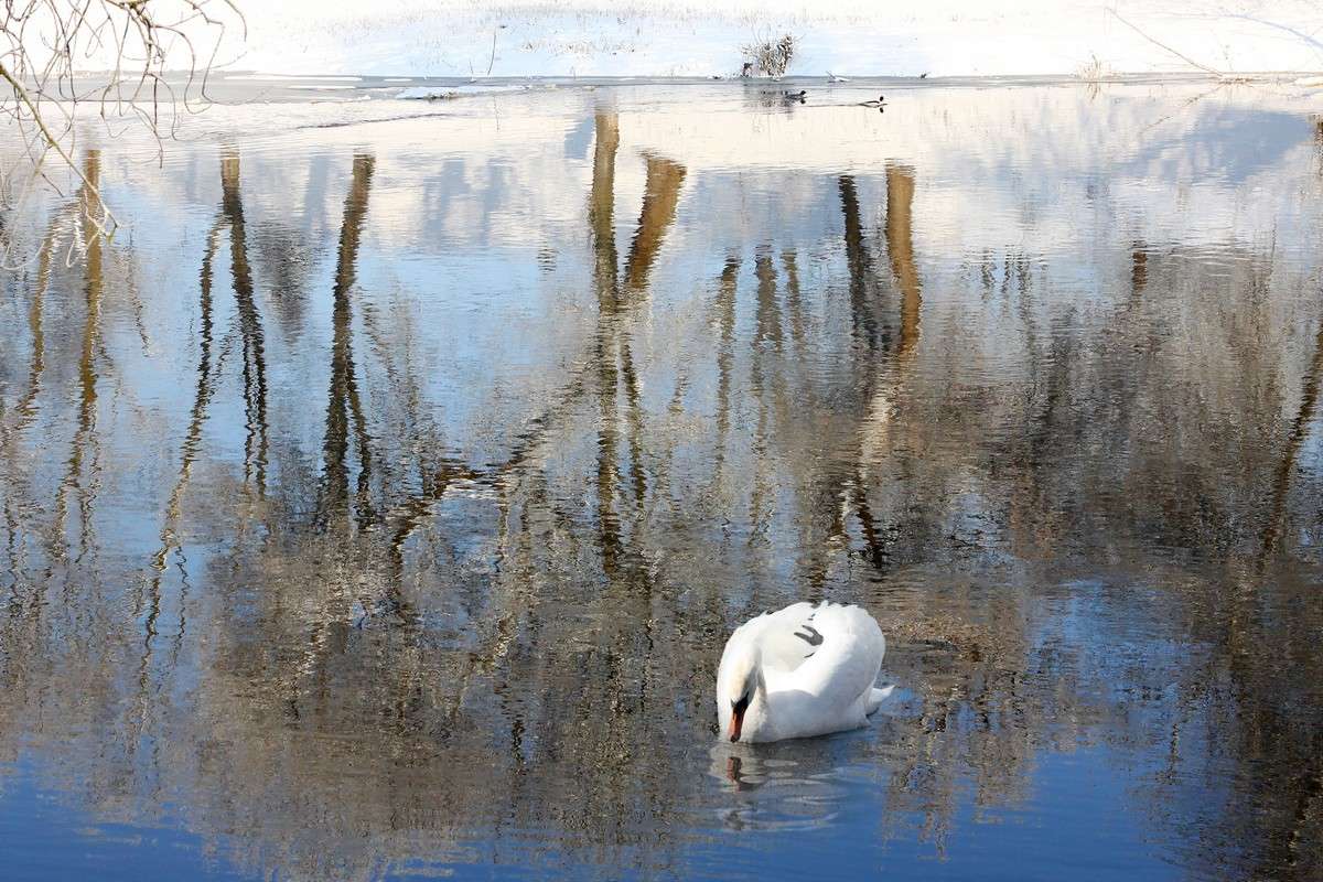 ����.... ����� Victor  �� PhotoGeek.ru #�������� ��� #������ ��� �������