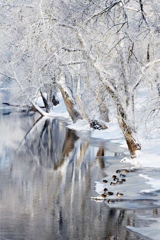 �� ������..... ����� Victor  �� PhotoGeek.ru #�������� ��� #������ ��� �������