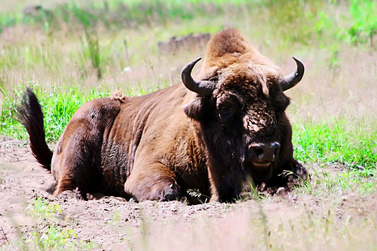 ���� ����� Victor  �� PhotoGeek.ru #�������� ���