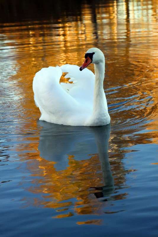 � ������� ������... ����� Victor  �� PhotoGeek.ru #�������� ���