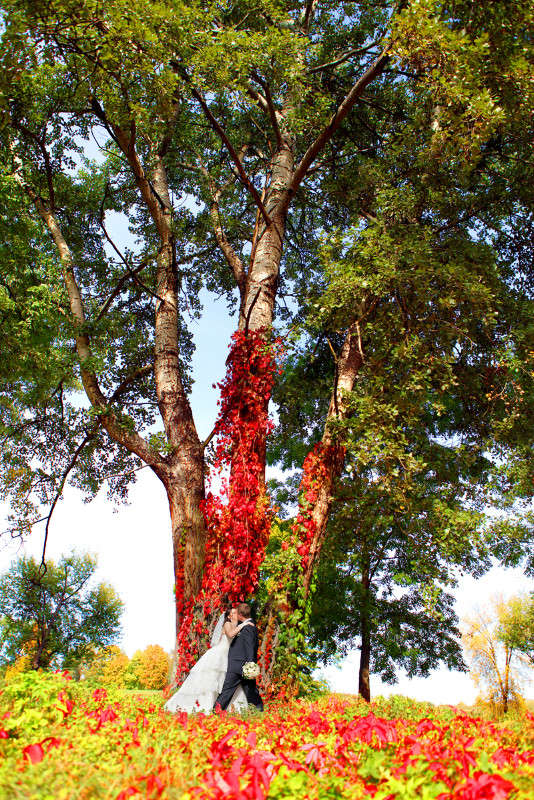 111111 ����� Victor  �� PhotoGeek.ru #��������� ����������