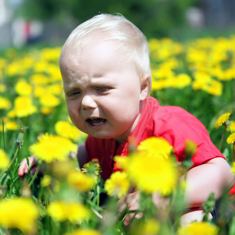 ���������� � �����������... ����� Victor  �� PhotoGeek.ru #�������