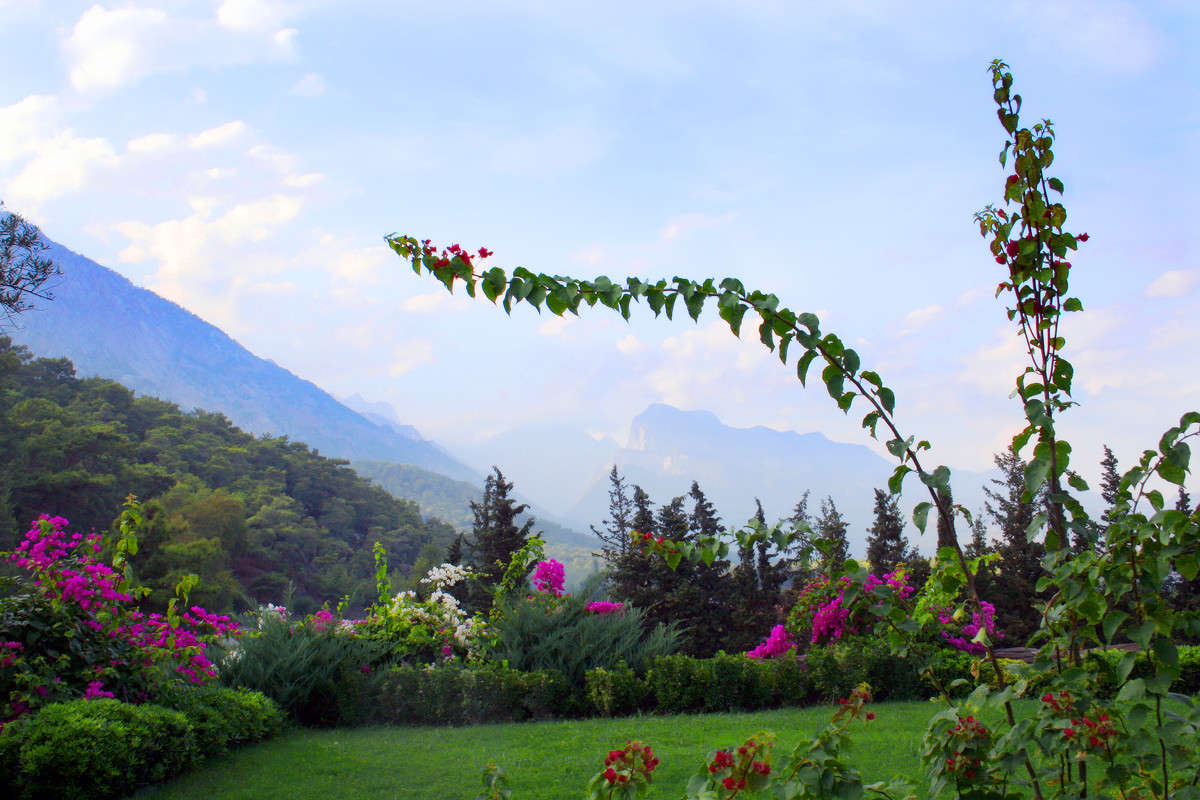 ... ����� Victor  �� PhotoGeek.ru #������ ��� �������