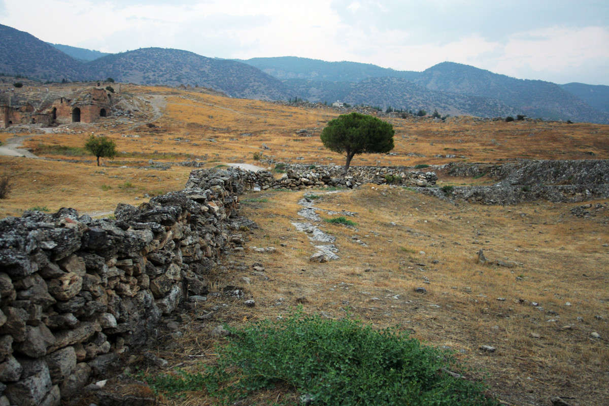 �������� ����� Victor  �� PhotoGeek.ru #������ ��� ������� #�����������