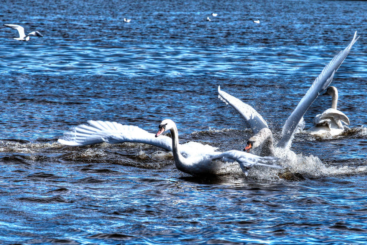 ����� �� ���� ����� Victor  �� PhotoGeek.ru #�������� ���