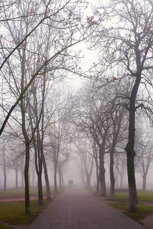 � ������ ����� Victor  �� PhotoGeek.ru #������ ��� �������